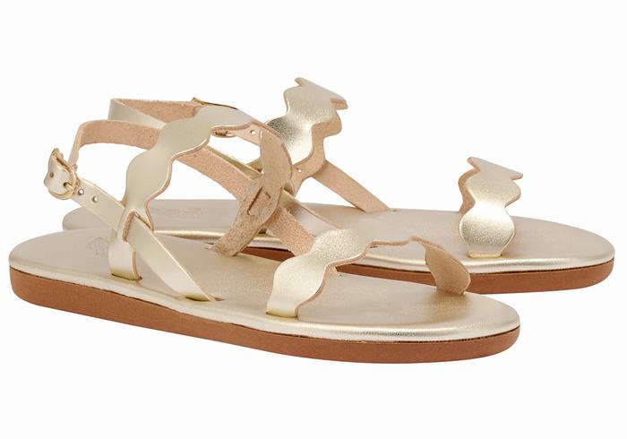 Sandales Bride Arrière Ancient Greek Sandals Afros   | BVV-0818371